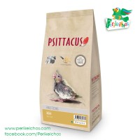 Psittacus Papilla Mini 1kg